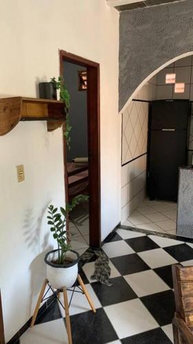 Proximo a rua dos biquinis in Jacare