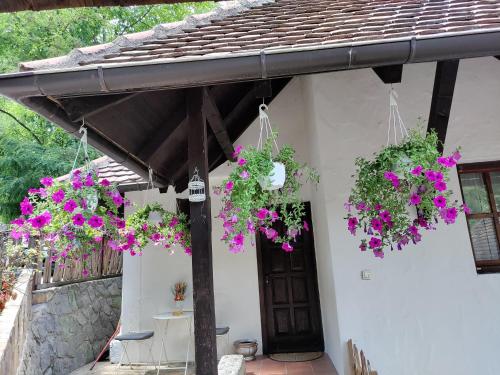 Konak Lecic in Korenita