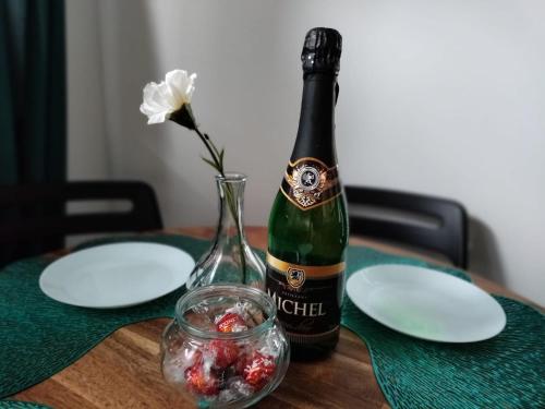 Apartament Turkusowe Łąki 4c-1