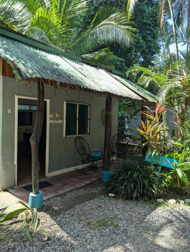 Jardin, Tasty Dayz Hostel in Puerto Viejo de Talamanca