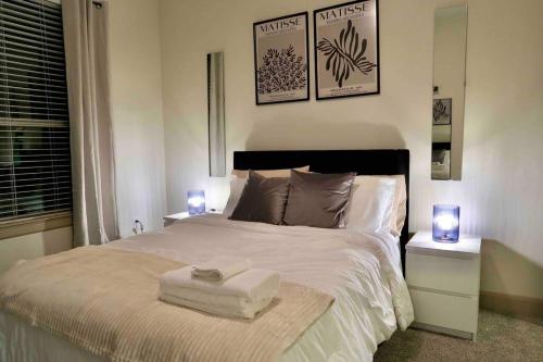 Luxury 2BR APT Walking Distance to NRG STADIUM & RODEO in Houston, USA