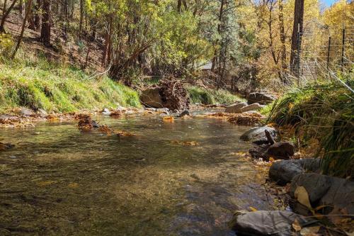 Ruidoso River Trail Cabin Ruidoso River Trail Cabin