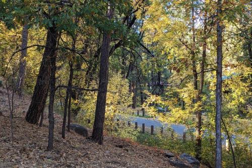 Ruidoso River Trail Cabin Ruidoso River Trail Cabin