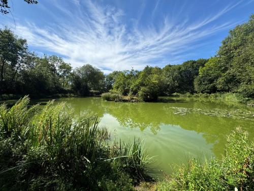 Grovefield House Hotel - image 6