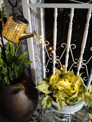 阳台民宿 16 Terrace 阳台民宿 16 Terrace