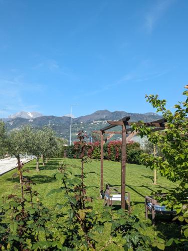 La Bugneta, Pietrasanta (fotografie 4)