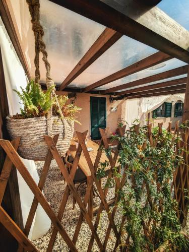 La Bugneta, Pietrasanta (fotografie 8)