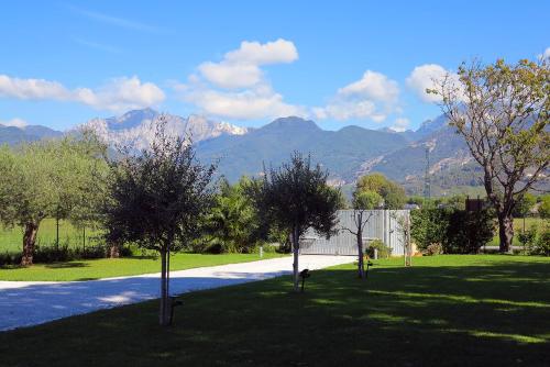 La Bugneta, Pietrasanta (fotografie 10)