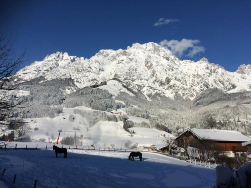 Stockingbauer in Leogang, Österreich
