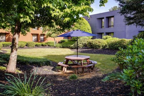 สระว่ายน้ำ, แคลเรียน อินน์ แอชวิลล์ แอร์พอร์ต (Clarion Inn Asheville Airport) in เฟลตเชอร์ (NC)