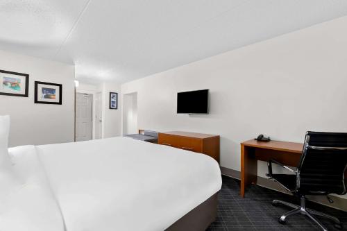 Comfort Inn & Suites - image 2