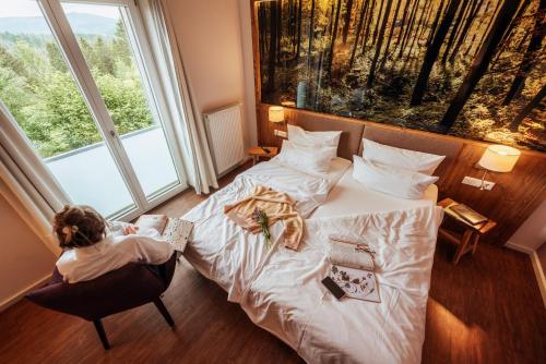 593378750 Torfhaus Harzresort