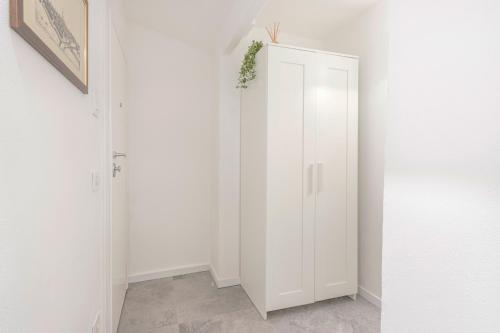 Modena's Graffiti House in the Heart of MoVida