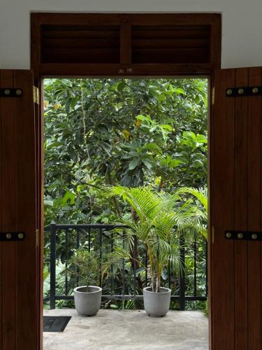Everdew Kandy, Kandy (photo 4)