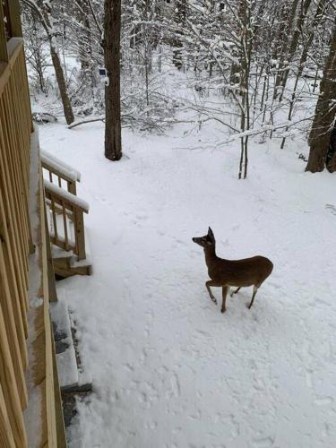 The PEAK One at The Pocono Mountains! Hot tub, firepit & Game room in Pocono Country Place, USA