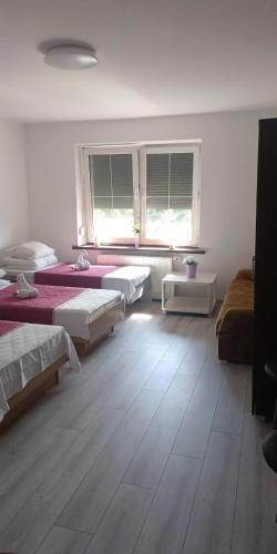 Ночлеги - HOSTEL, Tarnowo Podgórne (foto 8)