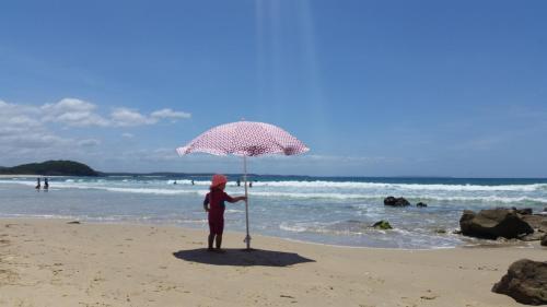 Mollymook Paradise Haven Motel