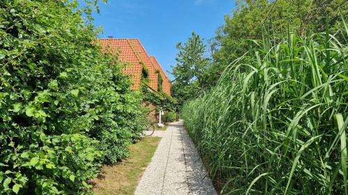 Luna-Wohnung-34 Luna-Wohnung-34