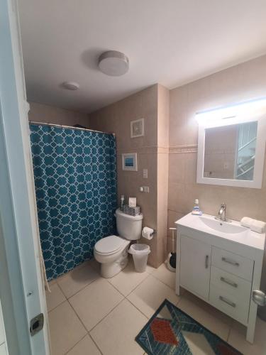 Dorado Beach Condo - image 11