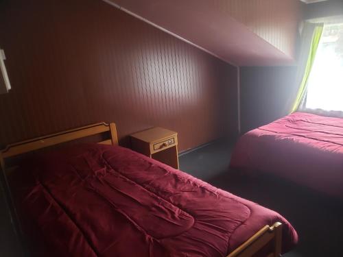Hostal M Patagonia