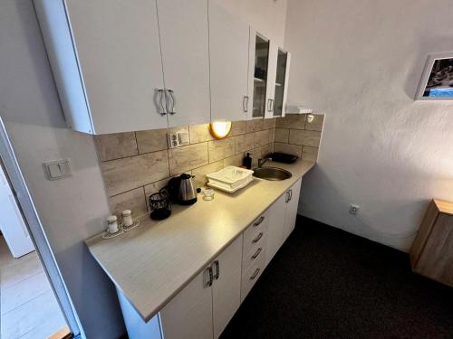 廚房, Lacné ubytovanie v centre mesta (Lacne ubytovanie v centre mesta) in 班斯卡比斯特里察市中心