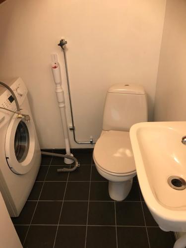 Sommar och vinter i Rottneros in Sunne