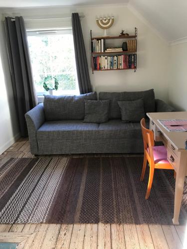 Sommar och vinter i Rottneros in Sunne