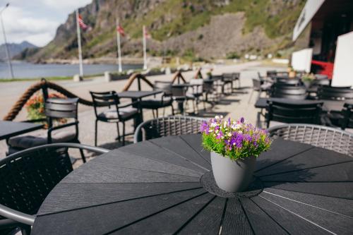 Live Lofoten Hotel in Stamsund