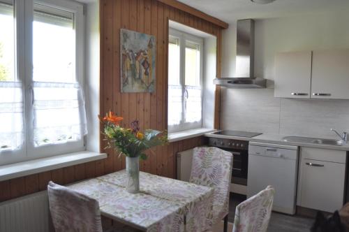 virtuve, Ferienhaus Gansbach in Gensbaha
