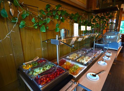 Edelweiss Lodge - image 14