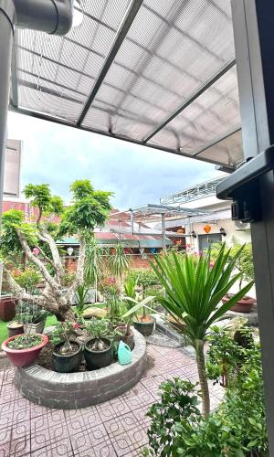 Homestay Mai Ngọc Tây Ninh - 정원