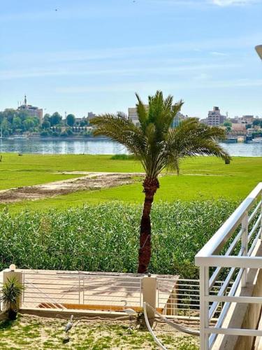 Royal Nile Suites - Luxury Nile View 1 - image 10