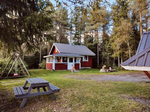 Punatulkku in Kalajoki