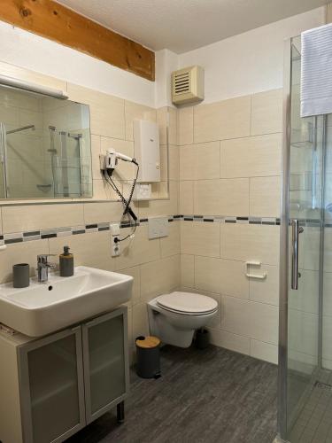 Zuhanyzó, Gemütliches Studio mit Balkon (Gemutliches Studio mit Balkon) in Heitersheim