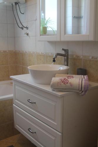 One-Bedroom Apartment image 10