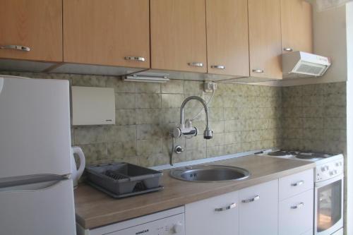 One-Bedroom Apartment image 5