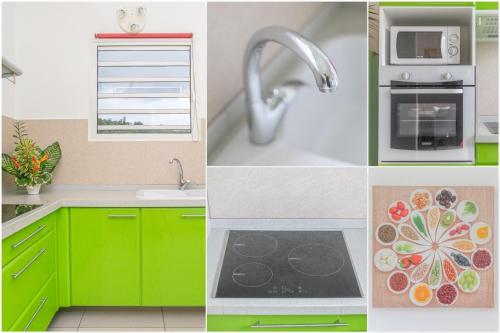 Cannelle au Refuge de Madiana à Schoelcher (Cannelle au Refuge de Madiana a Schoelcher) in Schœlcher