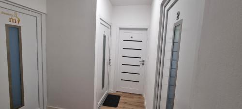 Vestabils, Infinity app 2024 in Beli Manastira