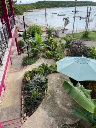 View, The Seaside Garden Guesthouse in Buccoo