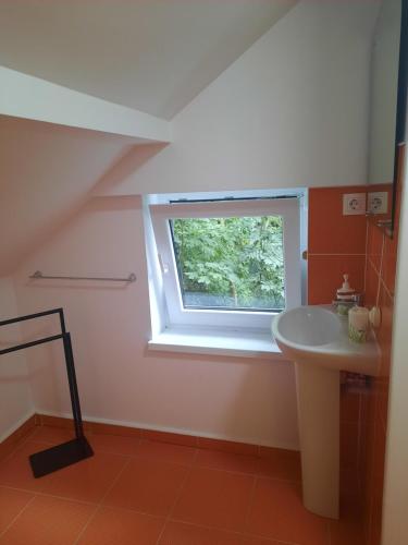 Vila Alba Brasov - image 11