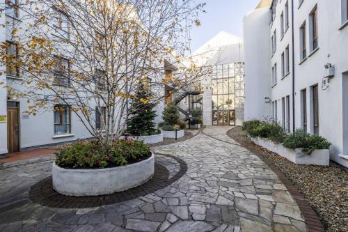 Cozy Apartment Steps from Everything - Heart of Dublin, Dublin (fotografie 6)