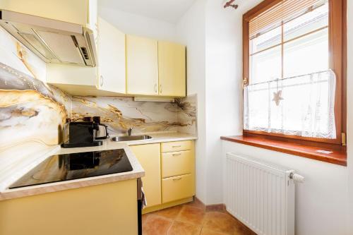 Kitchen, Apartmany v centru in Ceska Lipa