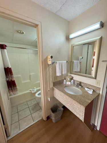 Sycamore Suites - image 4