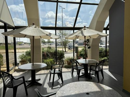 Sycamore Suites - image 8