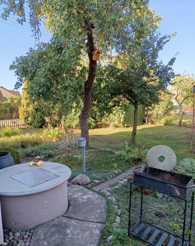 花園, Cosy Charming Hostel in central of Marijampole in 馬利基阿普勒