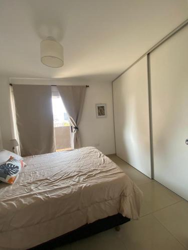One-Bedroom Apartment image 10