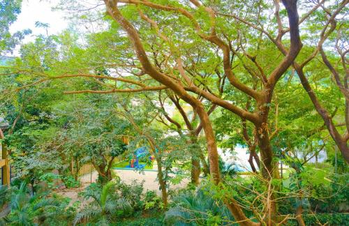 PICO DE LORO Nearest to Pool JACANA Studio Units by SEE Condominiums - Tap to explore photos