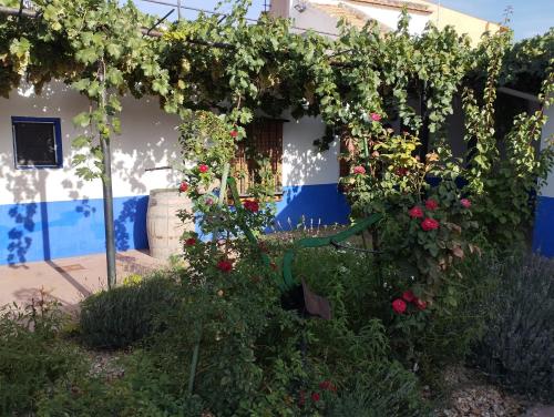  Casa (tipo) RURAL MANCHEGA in La Alameda de Cervera