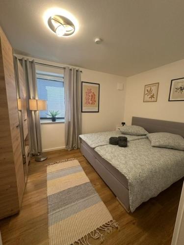 Wunderschöne und gemütliche Wohnung (Wunderschone und gemutliche Wohnung) in Schleswig