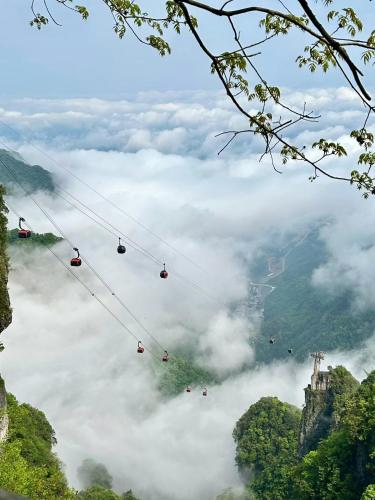Only waiting for you-Tianmen mountαin-English reception-Scenic guide Only waiting for you-Tianmen mountαin-English reception-Scenic guide